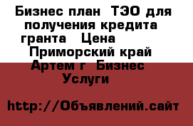 Бизнес-план, ТЭО для получения кредита, гранта › Цена ­ 3 000 - Приморский край, Артем г. Бизнес » Услуги   